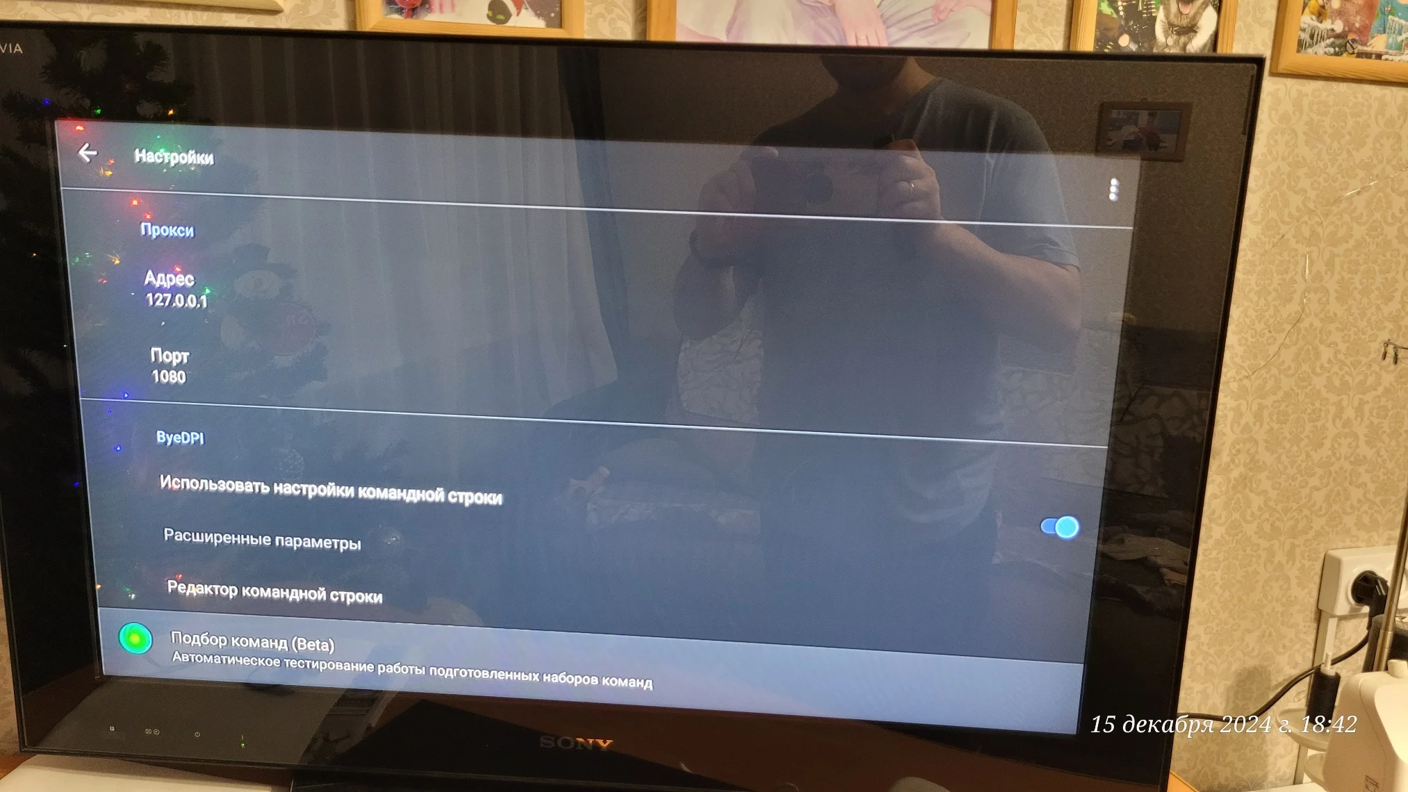 ByeByeDPI7