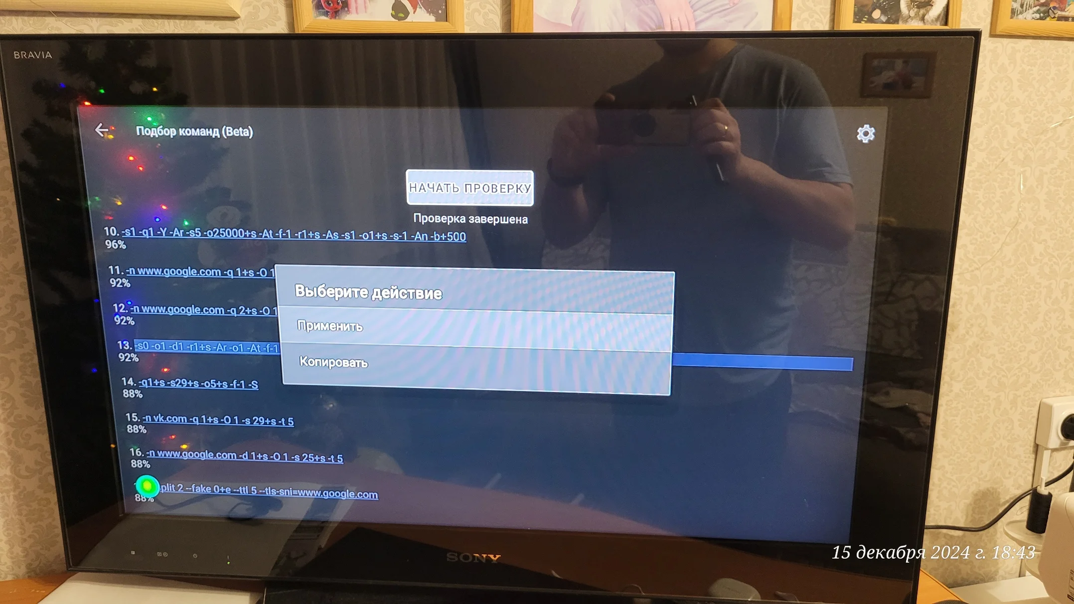 ByeByeDPI8